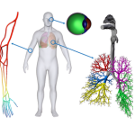 Healthcare & Biomedical